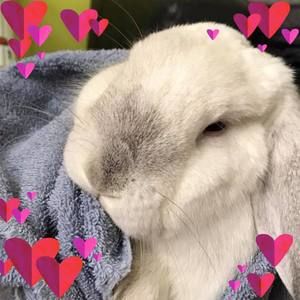 Meet your Posher, Britta